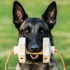 KnutFuchs IPO-Apportierholz 650g Havatar 16 KnutFuchs IPO-Apportierholz 650g Havatar -Katzen Hundebedarf Geschäft 7281406 6