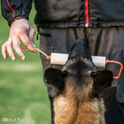 KnutFuchs IPO-Apportierholz 650g Havatar 18 KnutFuchs IPO-Apportierholz 650g Havatar -Katzen Hundebedarf Geschäft 7281406 8