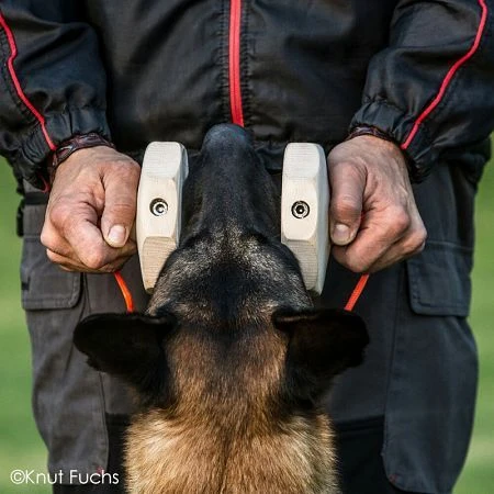 KnutFuchs IPO-Apportierholz 650g Havatar 11 KnutFuchs IPO-Apportierholz 650g Havatar – Bild 9