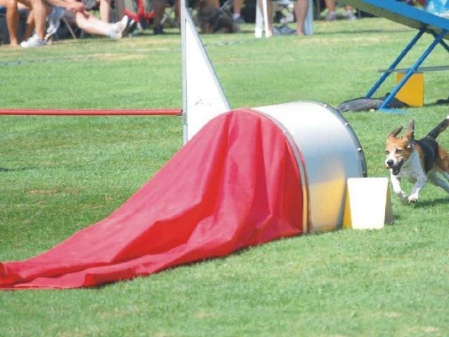 WT-Metall Sacktunnel Integralschaum 3 WT-Metall Sacktunnel Integralschaum