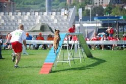 WT-Metall Laufsteg Mit EPDM Beschichtung