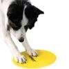 FitPAWS Bodentarget 25 Cm, 4 Stück -Katzen Hundebedarf Geschäft 81645 2