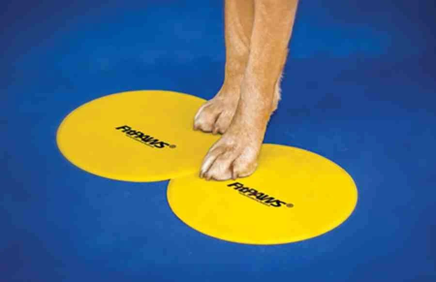 FitPAWS Bodentarget 25 Cm, 4 Stück 8 FitPAWS Bodentarget 25 Cm, 4 Stück – Bild 6