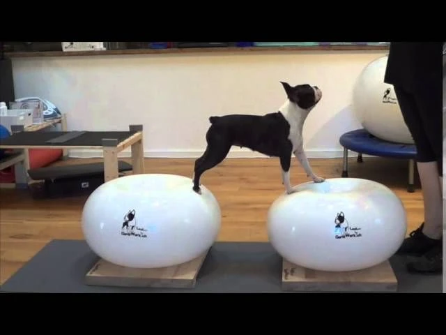 FLEXIness SensiDonut Purple 38 X 60 Cm 5 FLEXIness SensiDonut Purple 38 X 60 Cm – Bild 3