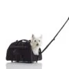 PetEgo Jet Set Rolling Set 2 PetEgo Jet Set Rolling Set -Katzen Hundebedarf Geschäft P1002 2