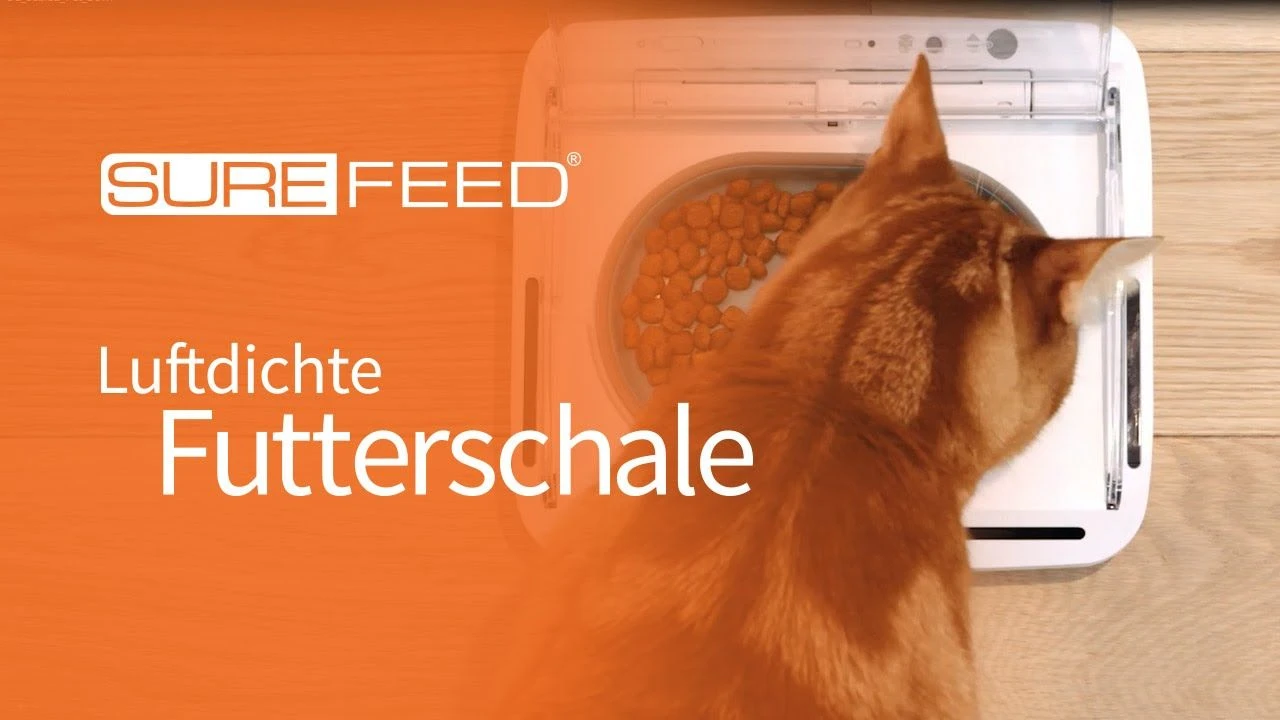 SureFeed Futterschale Luftdicht Grau Gsamtgrösse: 23.5 X 21 X 7.3 Cm Masse Schale: 10.5 X 16 X 3 Cm, 400ml 12 SureFeed Futterschale Luftdicht Grau Gsamtgrösse: 23.5 X 21 X 7.3 Cm Masse Schale: 10.5 X 16 X 3 Cm, 400ml – Bild 10