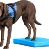 FitPAWS Balance Pad Balancematratze 38 X 46.5 X 5 Cm 1 FitPAWS Balance Pad Balancematratze 38 X 46.5 X 5 Cm -Katzen Hundebedarf Geschäft PT3003 2
