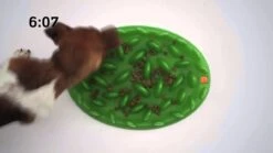 Antischling Futternapf Grün 40 X 30 X 10 Cm -Katzen Hundebedarf Geschäft YAwxdjpGlY maxresdefault