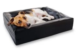 Bia Bed Original Schwarz 11 Bia Bed Original Schwarz -Katzen Hundebedarf Geschäft bia bed schwarz hund