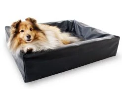 Bia Bed Original Schwarz 12 Bia Bed Original Schwarz -Katzen Hundebedarf Geschäft bia bed schwarz hund 2