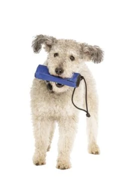 CLIX Retriever Futterdummy 9 CLIX Retriever Futterdummy -Katzen Hundebedarf Geschäft crb 4