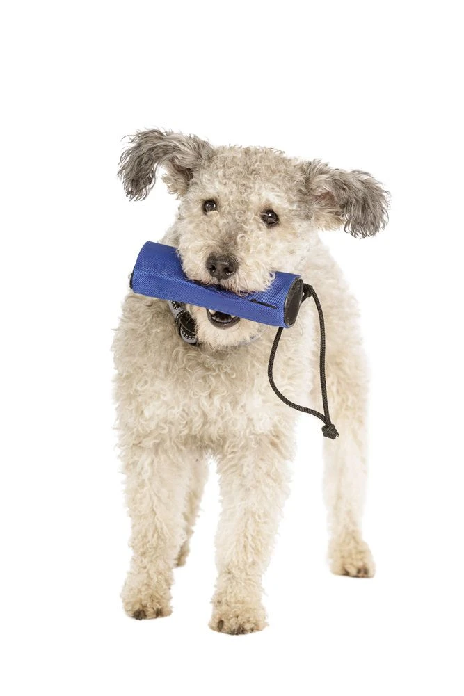 CLIX Retriever Futterdummy 6 CLIX Retriever Futterdummy – Bild 4