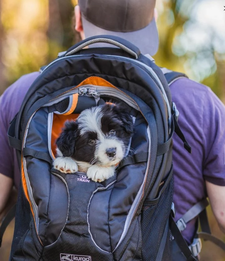 Kurgo Transportrucksack Navy Für Kleine Hunde Bis 11 Kg 5 Kurgo Transportrucksack Navy Für Kleine Hunde Bis 11 Kg – Bild 3