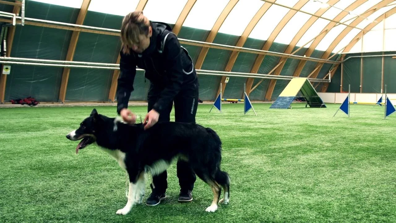 Hurtta Expedition Wintermantel Dunkelgrau 4 Hurtta Expedition Wintermantel Dunkelgrau – Bild 2