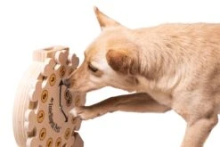 My Intelligent Pets Pet's Clock Ca. 30 X 28 X 6.5 Cm 5 My Intelligent Pets Pet's Clock Ca. 30 X 28 X 6.5 Cm -Katzen Hundebedarf Geschäft dsc 3574