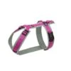 Anny-X Geschirr Fun Grau-pink L