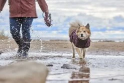 Hurtta Mudventure ECO Regenjacke Aubergine 13 Hurtta Mudventure ECO Regenjacke Aubergine -Katzen Hundebedarf Geschäft hurttamudventurecoateco eggplant aw23 55