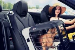 4pets Transportbox Caree Cool Grey -Katzen Hundebedarf Geschäft k70511