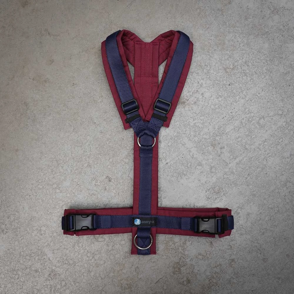 Anny-X Geschirr LE Fun Bordeaux / Blau XL, Hals 48 - 70 Cm / Brust 78 - 96 Cm 3 Anny-X Geschirr LE Fun Bordeaux / Blau XL, Hals 48 - 70 Cm / Brust 78 - 96 Cm