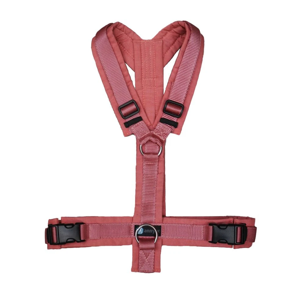 Anny-X Geschirr Fun Koralle-malve 3 Anny-X Geschirr Fun Koralle-malve