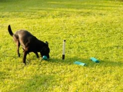 Mystique Makierstab 3er-Set Weiss / Schwarz 15 Mystique Makierstab 3er-Set Weiss / Schwarz -Katzen Hundebedarf Geschäft ms101 3 7