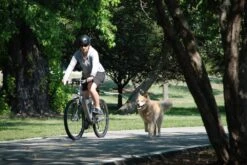 PetEgo Cycleash Fahrradleine 10 PetEgo Cycleash Fahrradleine -Katzen Hundebedarf Geschäft p1130 4