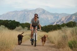 PetEgo Cycbar Zusatz-/Ersatzleine 7 PetEgo Cycbar Zusatz-/Ersatzleine -Katzen Hundebedarf Geschäft p1131 3