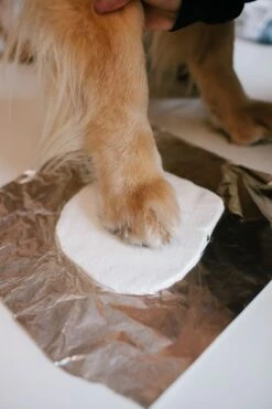 Tisch-Fotorahmen Grau Mit Abdruckmateria 30 X 19 X 3.5 Cm -Katzen Hundebedarf Geschäft ph83033 l3