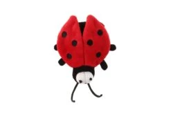 GiGwi Melody Chaser Marienkäfer 7 X 8 Cm -Katzen Hundebedarf Geschäft q7005 2