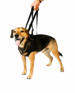 Vetlando Gehhilfe Schwarz -Katzen Hundebedarf Geschäft vh 111099 5